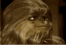 Chewie Whatawookie GIF - Chewie Whatawookie Chewbacca GIFs