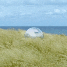 Floating Ball Sheppard GIF - Floating Ball Sheppard Dance On The Sun Song GIFs