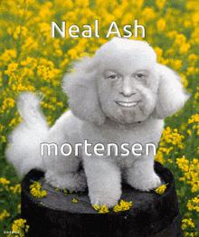 a picture of a poodle with a man 's face on it and the name neal ash mortensen