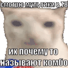 a dog with russian writing on it is looking at the camera .