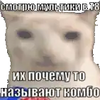 a dog with russian writing on it is looking at the camera .