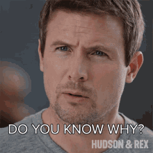 Do You Know Why Charlie Hudson GIF - Do You Know Why Charlie Hudson Hudson And Rex GIFs