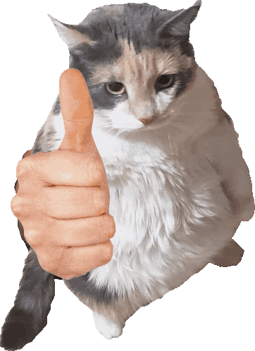 Thumbs Up Cat Sticker - Thumbs Up Cat Thumb Stickers