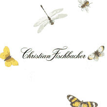 christianfischbacher birds butterflies bees