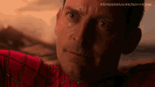 Pleading Look Peter Parker GIF - Pleading Look Peter Parker Spider Man GIFs