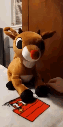 Rudolph Pet GIF
