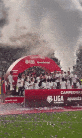 Universitario De Deportes Universitario Femenino GIF - Universitario De Deportes Universitario Femenino Liga Femenina Peruana GIFs