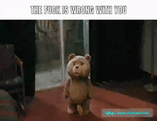 Ted What Is Wrong With You GIF - Ted What Is Wrong With You GIFs