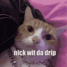 Nick With The Drip Letrol Swag Cat GIF - Nick With The Drip Letrol Swag Cat Drip Cat Swag GIFs