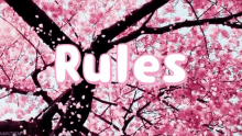 Rules Cherry GIF - Rules Cherry Cherry Blossom GIFs