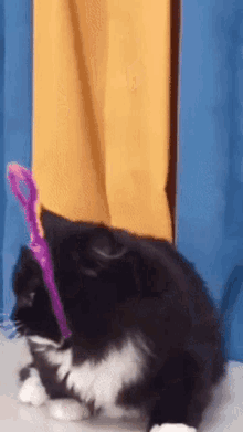 Cat Tinky Winky GIF - Cat Tinky Winky Serious GIFs