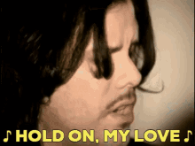 The Tea Party Jeff Martin GIF - The Tea Party Jeff Martin Hold On My Love GIFs