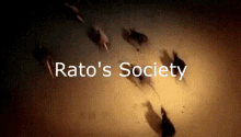 Ratos Society GIF - Ratos Society Ratos Society GIFs