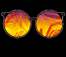 Sun Set Sunglasses Shades GIF - Sun Set Sunglasses Shades Sun Glasses GIFs