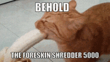 Behold Shredder GIF - Behold Shredder 50000 GIFs