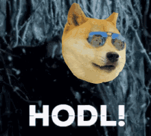Hold Hodl GIF - Hold Hodl Dogecoin GIFs