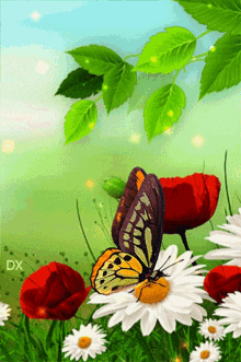 Butterfly Flowers GIF - Butterfly Flowers Nature GIFs
