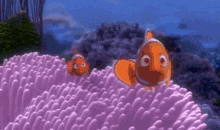 Finding Nemo Barracuda GIF - Finding Nemo Barracuda Finding Nemo Mom GIFs