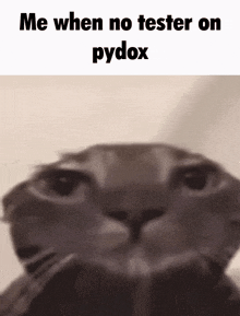 Pydox Bloxflip GIF - Pydox Bloxflip GIFs
