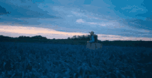 Lost Searching GIF - Lost Searching Missing GIFs
