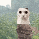 a statue of a monkey with a face on top of a tree trunk in the woods .