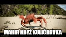 Mehir Crab GIF - Mehir Crab Kulicky GIFs