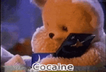 cocaine snuggie bear lmao kid