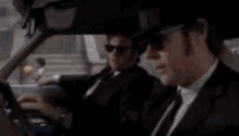 No Fucking GIF