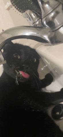Cat Drinking Water GIF - Cat Drinking Water GIFs