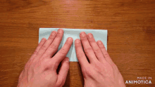 a person 's hands folding a piece of paper with the words made in animotica below