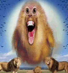 a group of lions are standing around a monkey with its mouth wide open