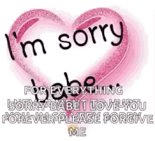 im sorry babe sorry im so very sorry never meant to hurt you heart