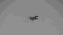 Planes Flying GIF