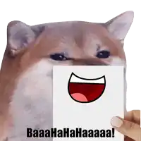 a person holding a piece of paper in front of a dog that says baaahahahaaaa