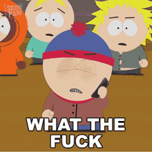 What The Fuck Are You Doing Stan Marsh GIF - What The Fuck Are You Doing Stan Marsh South Park GIFs