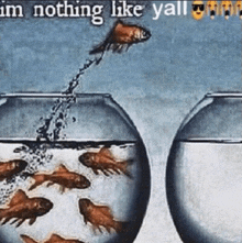 a painting of a fish jumping out of a bowl of water with the caption " im nothing like yall "