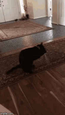 Black Cat Playing GIF - Black Cat Playing Playing Around GIFs