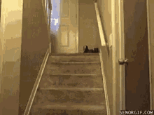 Ghost Funny GIF - Ghost Funny Trip GIFs