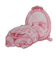 a drawing of a frog looking at itself in the mirror
