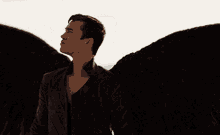 Fallen Angel Angel GIF - Fallen Angel Angel Looking At The Sea Flapping His Wings GIFs
