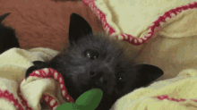 Cute Little Bat GIF