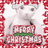 Bingus Merry Christmas GIF - Bingus Merry Christmas Merry Christmas 2023 GIFs