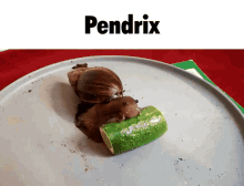 Pendrix Overwatch Snail Eating Cucumber GIF