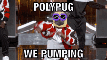 Polypug Quick GIF - Polypug Quick GIFs