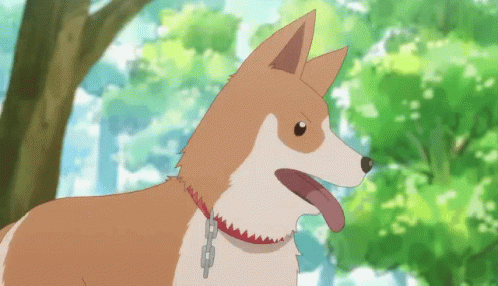 Cute anime dog Animated Picture Codes and Downloads 97644284485393835   Blingeecom