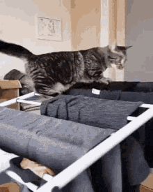 Cat Fall Laundry GIF - Cat Fall Laundry My Prison Is Laundry GIFs