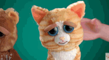 Scary Toy GIF - Scary Toy Cat GIFs