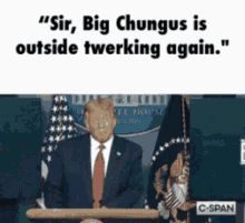 Big Chungus Donald Trump GIF - Big Chungus Donald Trump Trump GIFs