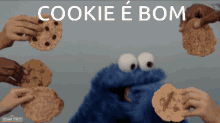 Cookie Cookie Monster GIF - Cookie Cookie Monster Sesame GIFs