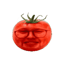 tom tomato